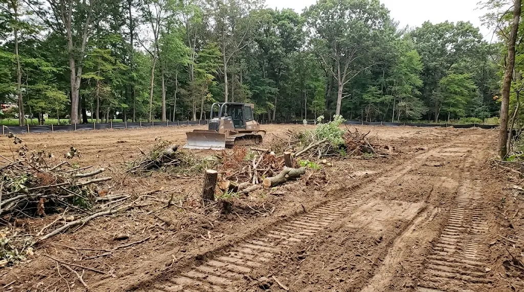 lot & land clearing
